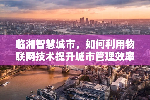 临湘智慧城市，如何利用物联网技术提升城市管理效率？