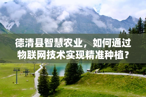 德清县智慧农业，如何通过物联网技术实现精准种植？