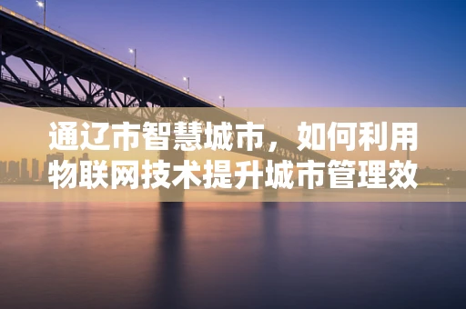 通辽市智慧城市，如何利用物联网技术提升城市管理效率？