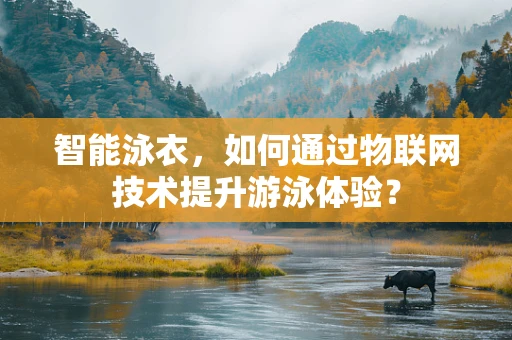 智能泳衣，如何通过物联网技术提升游泳体验？