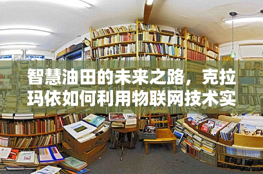 智慧油田的未来之路，克拉玛依如何利用物联网技术实现高效管理？