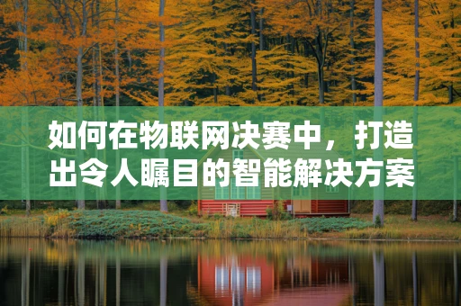 如何在物联网决赛中，打造出令人瞩目的智能解决方案？