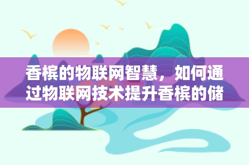 香槟的物联网智慧，如何通过物联网技术提升香槟的储存与配送体验？