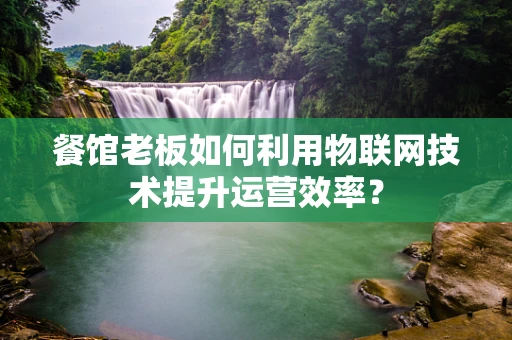 餐馆老板如何利用物联网技术提升运营效率？