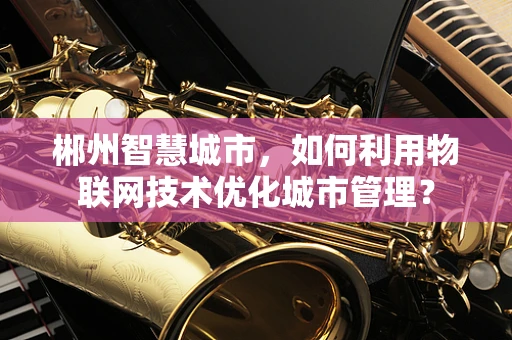 郴州智慧城市，如何利用物联网技术优化城市管理？