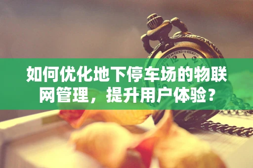 如何优化地下停车场的物联网管理，提升用户体验？