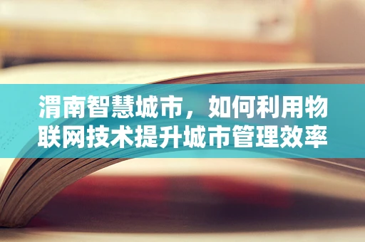 渭南智慧城市，如何利用物联网技术提升城市管理效率？