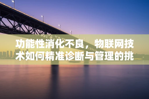 功能性消化不良，物联网技术如何精准诊断与管理的挑战？