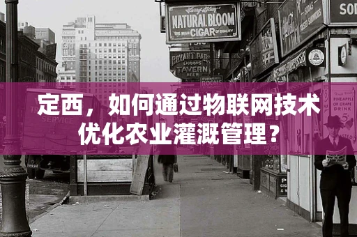 定西，如何通过物联网技术优化农业灌溉管理？