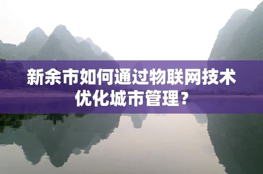新余市如何通过物联网技术优化城市管理？