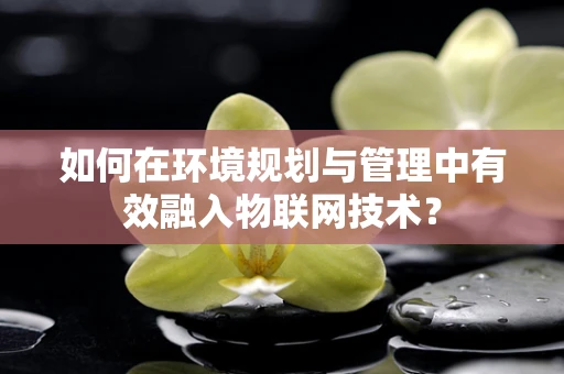 如何在环境规划与管理中有效融入物联网技术？