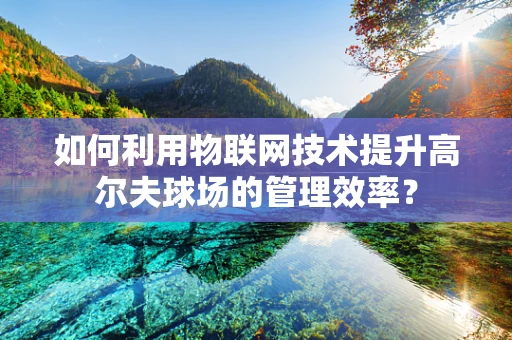如何利用物联网技术提升高尔夫球场的管理效率？