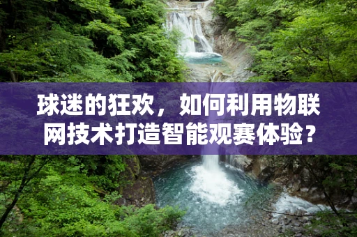 球迷的狂欢，如何利用物联网技术打造智能观赛体验？