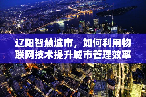 辽阳智慧城市，如何利用物联网技术提升城市管理效率？