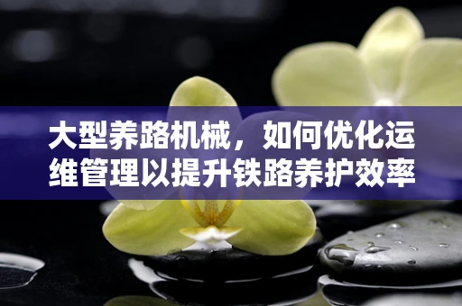 大型养路机械，如何优化运维管理以提升铁路养护效率？