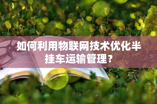 如何利用物联网技术优化半挂车运输管理？