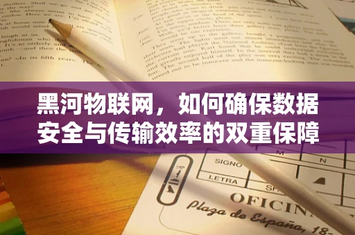黑河物联网，如何确保数据安全与传输效率的双重保障？