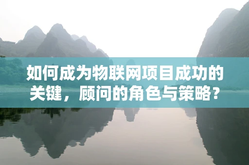 如何成为物联网项目成功的关键，顾问的角色与策略？