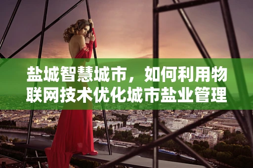 盐城智慧城市，如何利用物联网技术优化城市盐业管理？