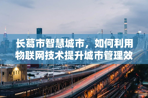长葛市智慧城市，如何利用物联网技术提升城市管理效率？
