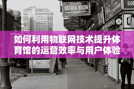 如何利用物联网技术提升体育馆的运营效率与用户体验？