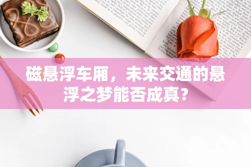 磁悬浮车厢，未来交通的悬浮之梦能否成真？