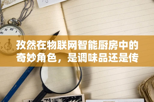 孜然在物联网智能厨房中的奇妙角色，是调味品还是传感器？