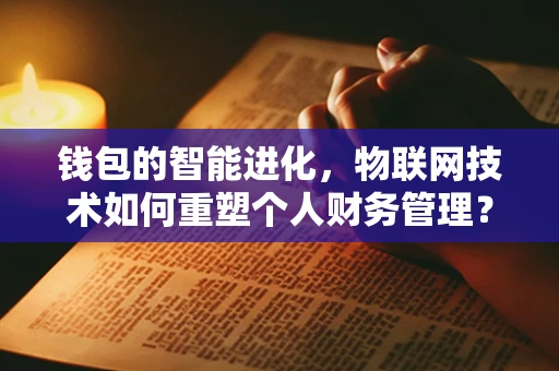钱包的智能进化，物联网技术如何重塑个人财务管理？