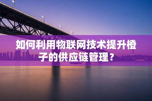 如何利用物联网技术提升橙子的供应链管理？