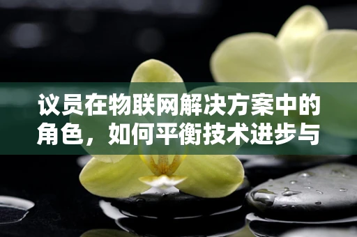 议员在物联网解决方案中的角色，如何平衡技术进步与政策监管？