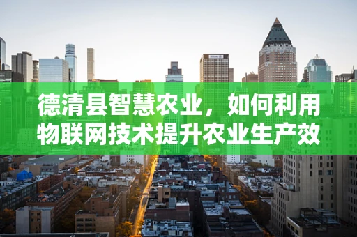 德清县智慧农业，如何利用物联网技术提升农业生产效率？