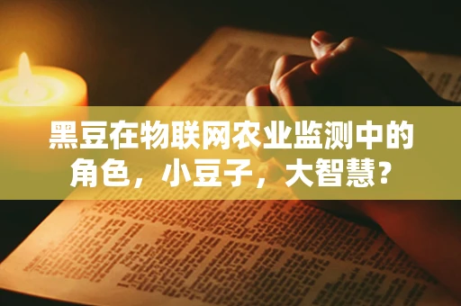 黑豆在物联网农业监测中的角色，小豆子，大智慧？