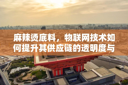 麻辣烫底料，物联网技术如何提升其供应链的透明度与效率？
