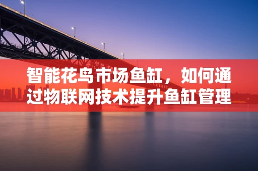 智能花鸟市场鱼缸，如何通过物联网技术提升鱼缸管理效率？