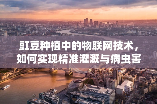 豇豆种植中的物联网技术，如何实现精准灌溉与病虫害监测？