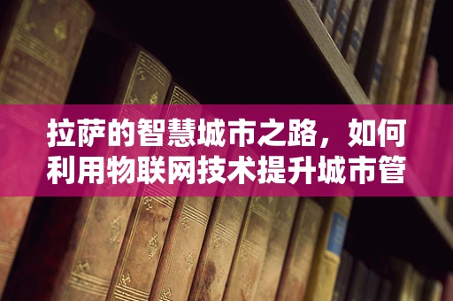 拉萨的智慧城市之路，如何利用物联网技术提升城市管理效率？