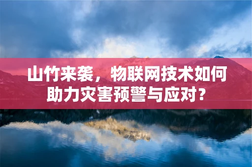 山竹来袭，物联网技术如何助力灾害预警与应对？