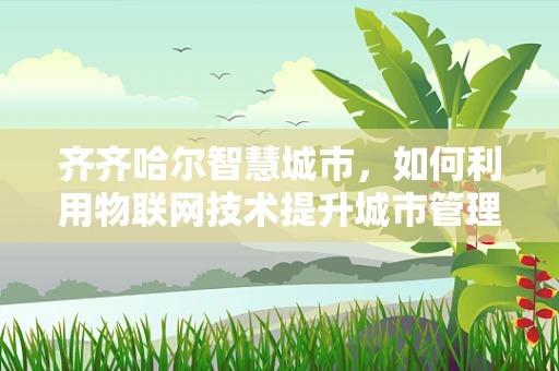 齐齐哈尔智慧城市，如何利用物联网技术提升城市管理效率？