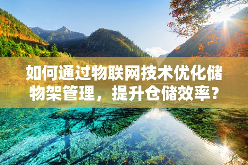 如何通过物联网技术优化储物架管理，提升仓储效率？