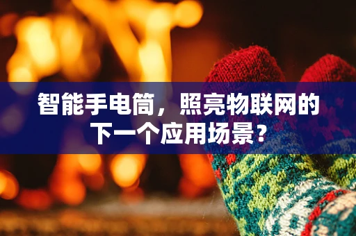 智能手电筒，照亮物联网的下一个应用场景？