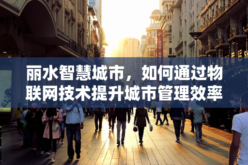 丽水智慧城市，如何通过物联网技术提升城市管理效率？