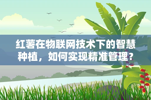 红薯在物联网技术下的智慧种植，如何实现精准管理？