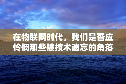 在物联网时代，我们是否应怜悯那些被技术遗忘的角落？