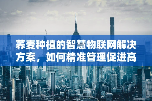 荞麦种植的智慧物联网解决方案，如何精准管理促进高产？
