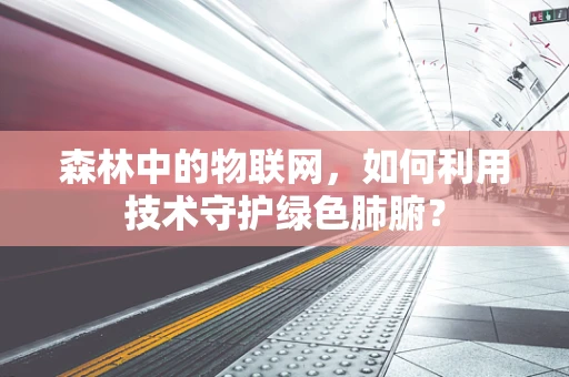森林中的物联网，如何利用技术守护绿色肺腑？