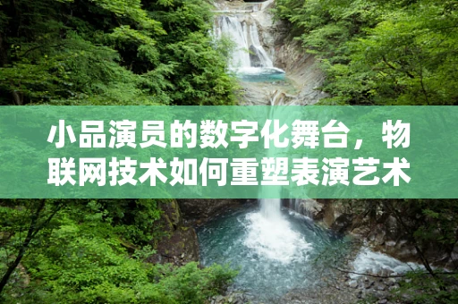 小品演员的数字化舞台，物联网技术如何重塑表演艺术？