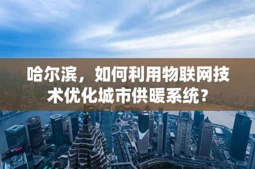 哈尔滨，如何利用物联网技术优化城市供暖系统？