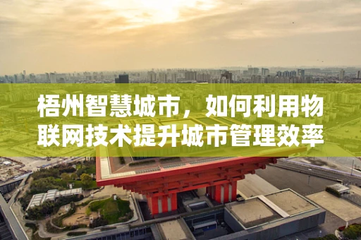 梧州智慧城市，如何利用物联网技术提升城市管理效率？