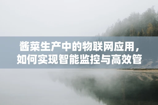 酱菜生产中的物联网应用，如何实现智能监控与高效管理？