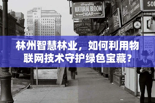 林州智慧林业，如何利用物联网技术守护绿色宝藏？